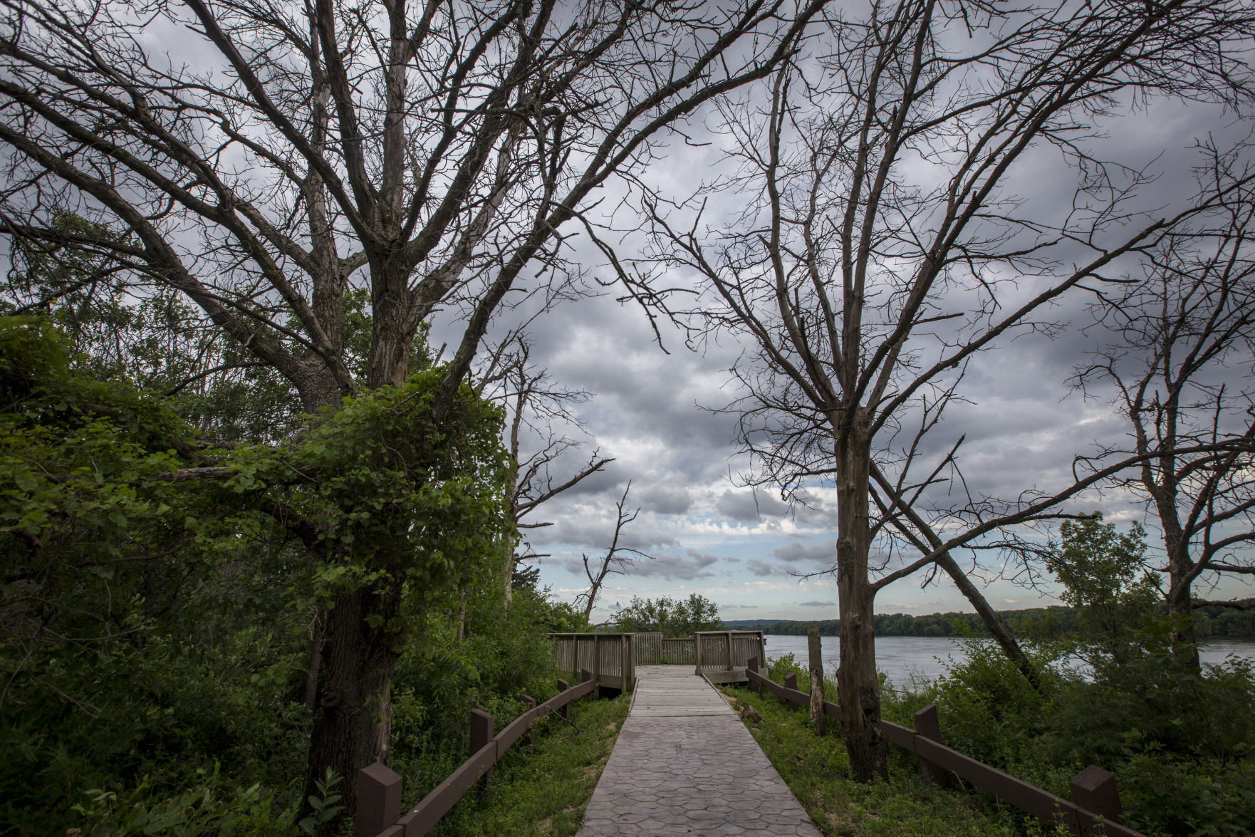 THE GREAT RIVER-0614